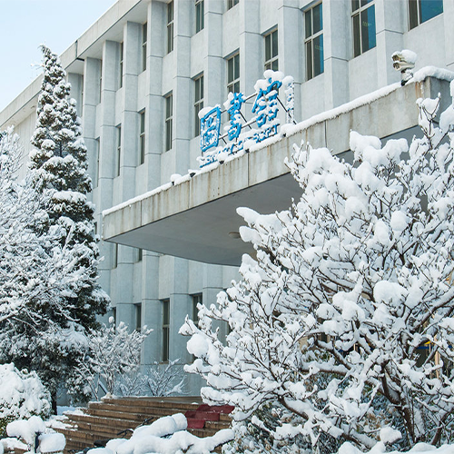 大學文化