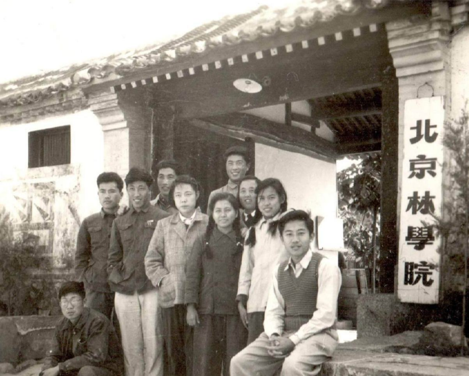 北京林學(xué)院響塘校址大門