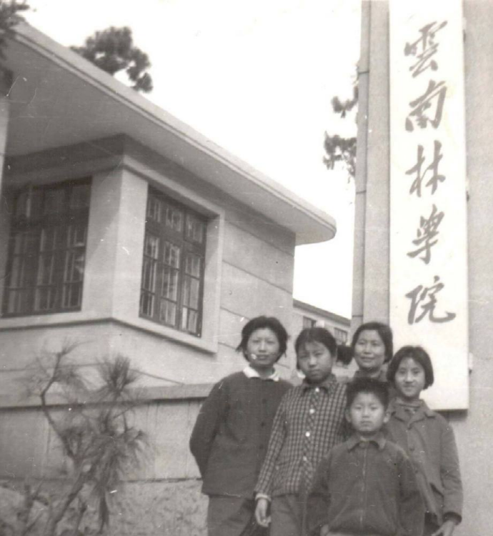 云南林學(xué)院楸木園校址大門