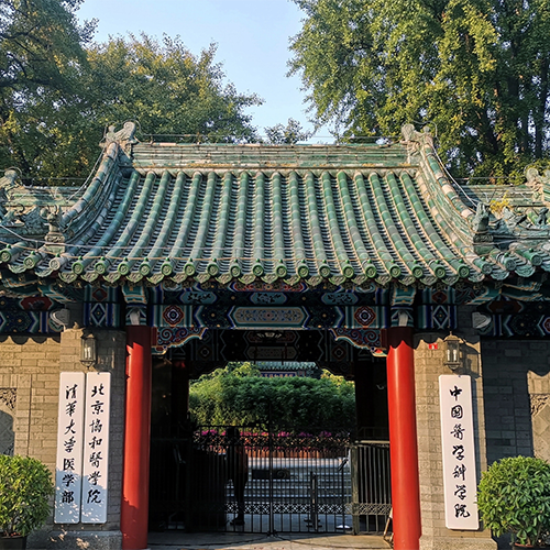 北京協(xié)和醫(yī)學院-最美校園