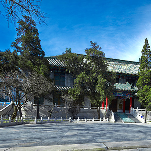 最美大學