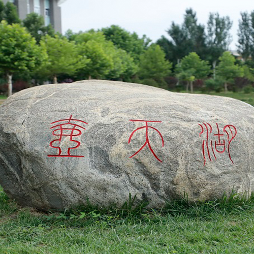 歲月流金 · 青春不散場