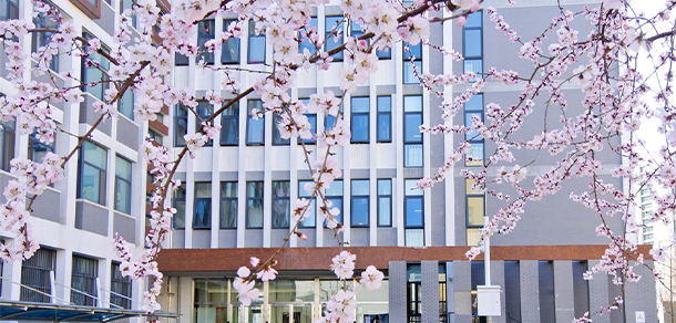 中央財經大學 - 最美大學