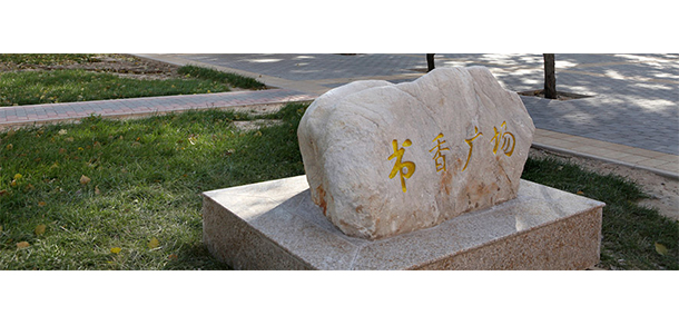 對(duì)外經(jīng)濟(jì)貿(mào)易大學(xué) - 最美大學(xué)