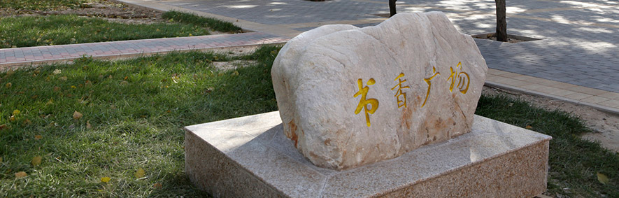 對外經(jīng)濟(jì)貿(mào)易大學(xué) 我的大學(xué)