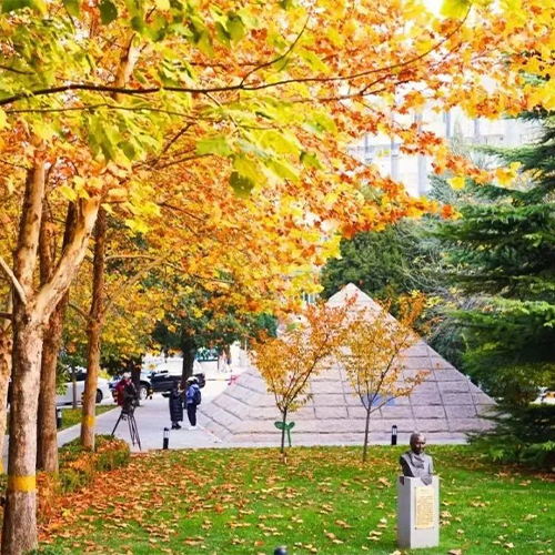 大學(xué)簡介