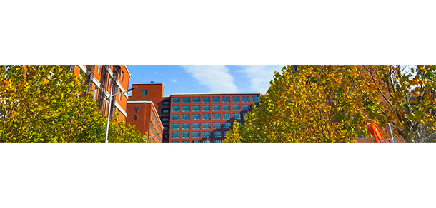 中國礦業(yè)大學(xué)（北京） - 最美大學(xué)