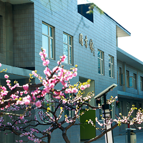 大學(xué)簡介