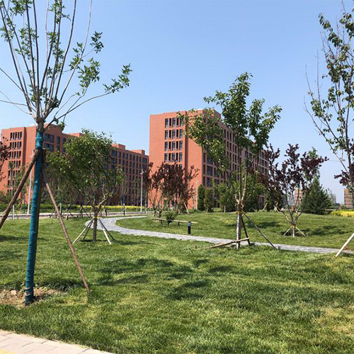 大學志