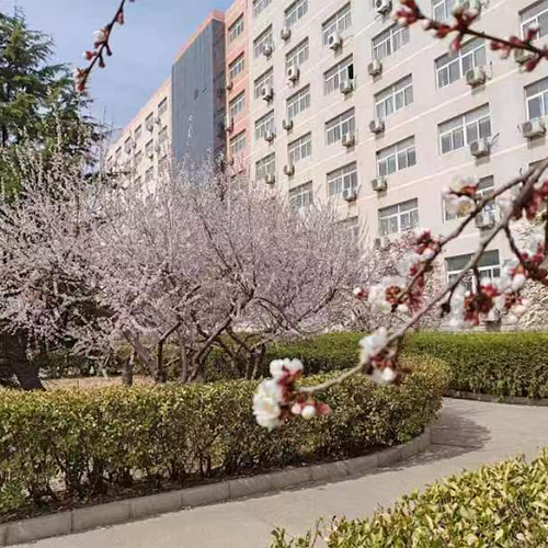 新生入學(xué)