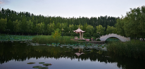 我的大學(xué)-大學(xué)志