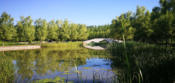 我的大學(xué)-大學(xué)志