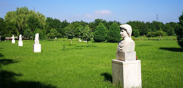 我的大學(xué)-大學(xué)志