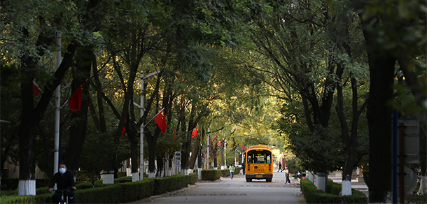 我的大學(xué)-大學(xué)志