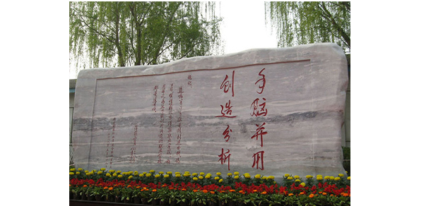 我的大學(xué)-大學(xué)志