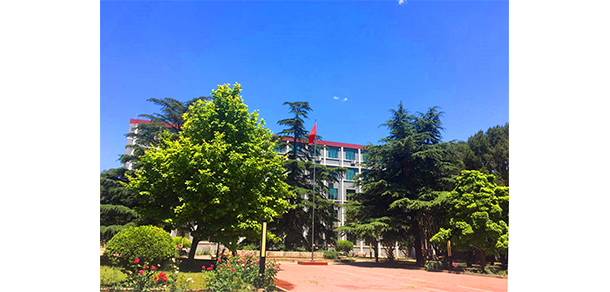 我的大學(xué)-大學(xué)志