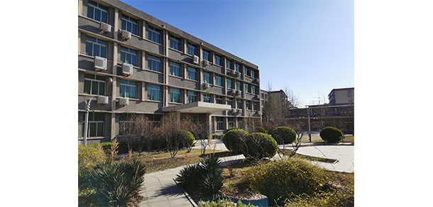 我的大學(xué)-大學(xué)志
