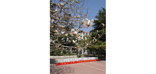 我的大學(xué)-大學(xué)志