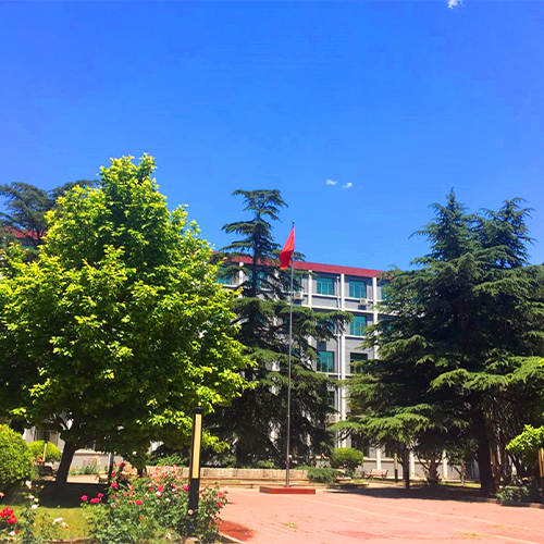 我的大學