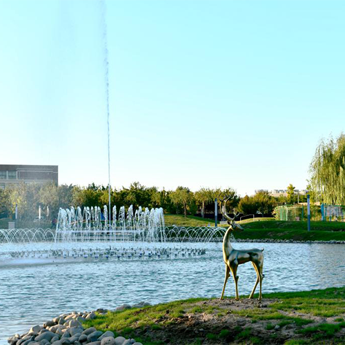 大學文化