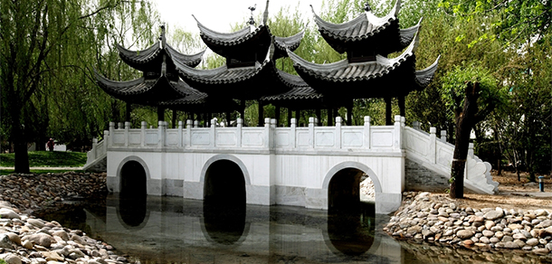 我的大學(xué)-大學(xué)志