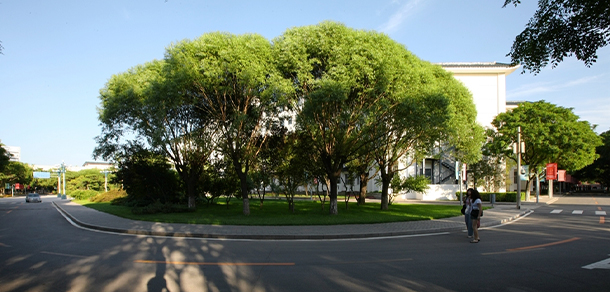 我的大學(xué)-大學(xué)志