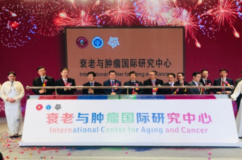非法人科研機構(gòu)衰老與腫瘤國際研究中心