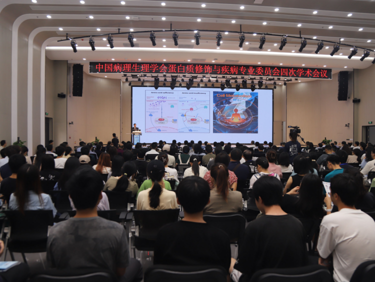 2023年11月，中國病理生理學(xué)會蛋白質(zhì)修飾與疾病專業(yè)委員會第四次學(xué)術(shù)會議在我校成功舉辦