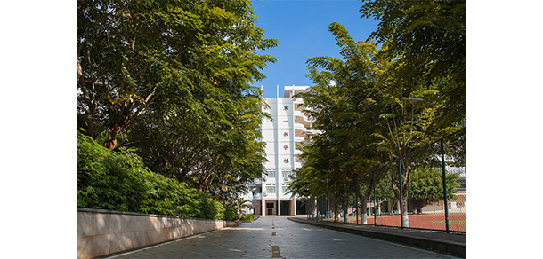 我的大學-大學志
