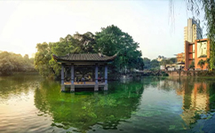 2025年強(qiáng)基計(jì)劃招生簡(jiǎn)章