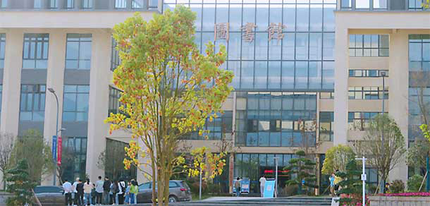 重慶移通學院 - 最美大學