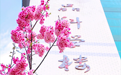 文化標(biāo)識(shí)：校名題寫(xiě) / ?；赵O(shè)計(jì)