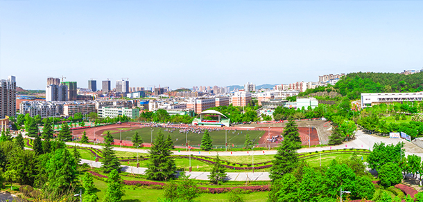 大學(xué)校志：校名、校標(biāo)、校訓(xùn)、校徽、校旗、校歌