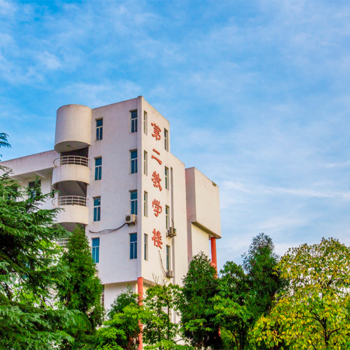 我的大學(xué)