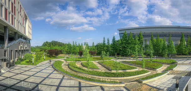 我的大學(xué)-大學(xué)志