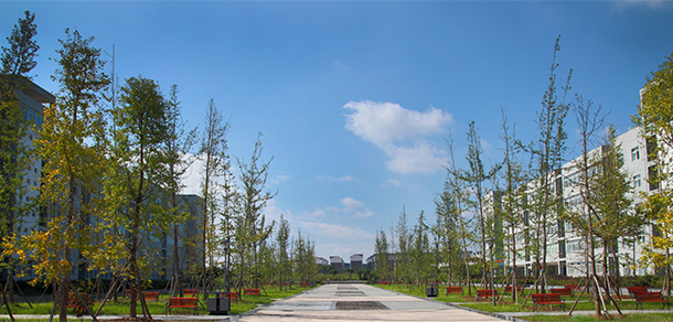 我的大學(xué)-大學(xué)志