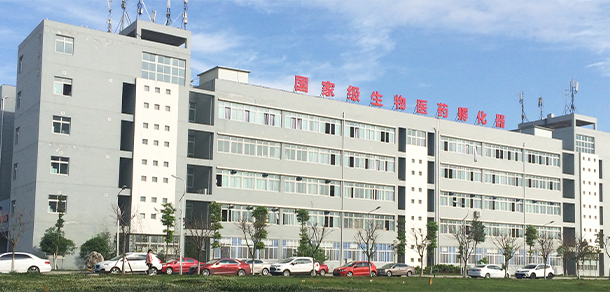 我的大學(xué)-大學(xué)志