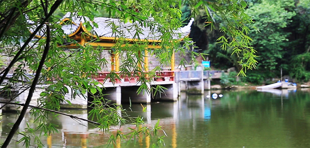 我的大學(xué)-大學(xué)志