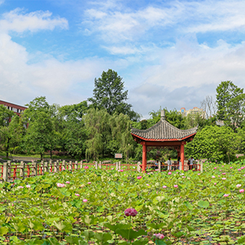 最美大學