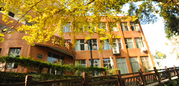 我的大學(xué)-大學(xué)志