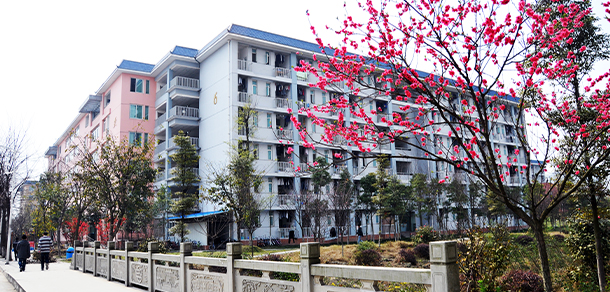 我的大學(xué)-大學(xué)志