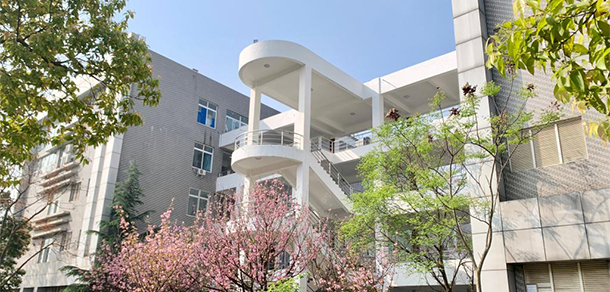 我的大學-大學志