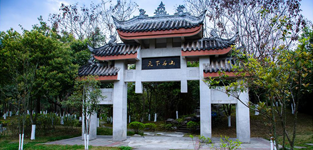 我的大學-大學志