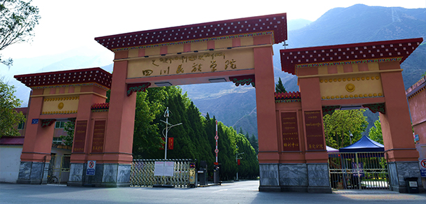 我的大學(xué)-大學(xué)志