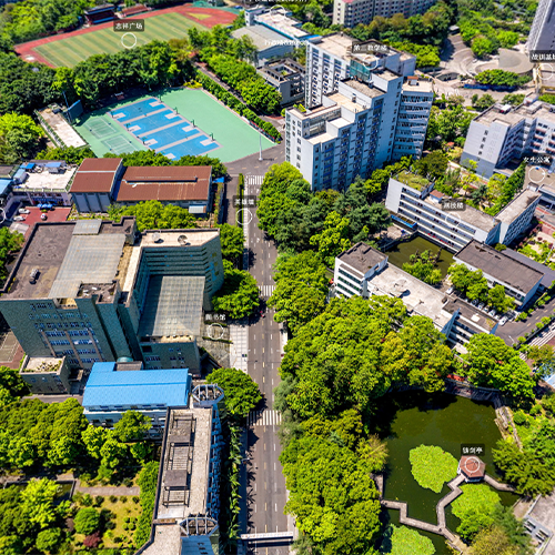 大學文化