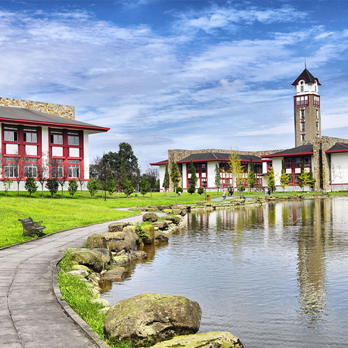 我的大學(xué)