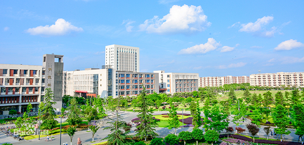 大學校志：校名、校標、校訓、?；?、校旗、校歌