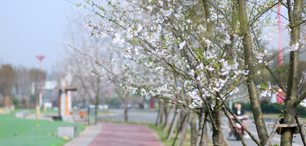 2021年招生分數(shù)