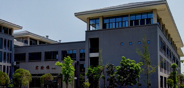 我的大學(xué)-大學(xué)志