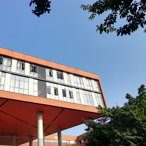 最美大學